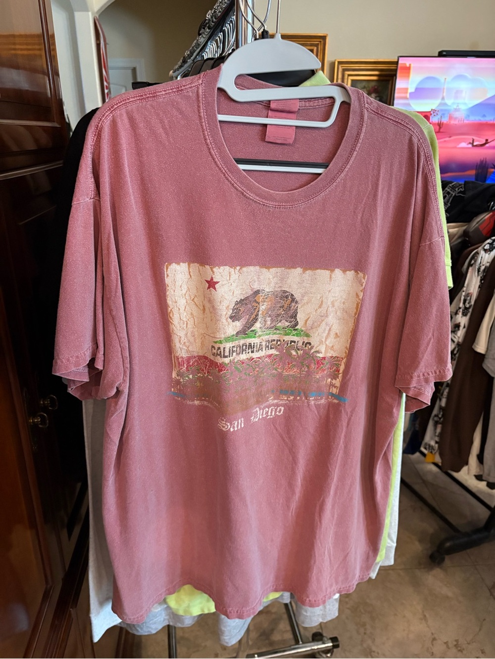 California Republic San Diego Graphic T-Shirt - Dusty Rose